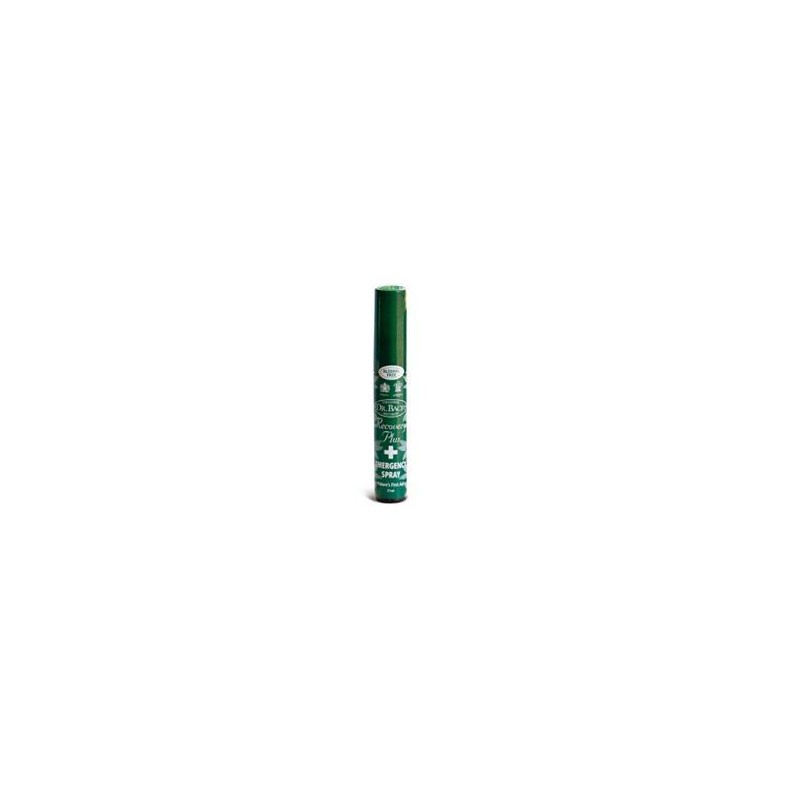 Ainsworths - Santiveri Sa Ainsworths Recov Plus Spr 21ml