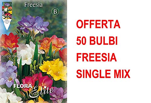 Offerta 50 Bulbi Freesia Single Mixed Bulbs Bulbes