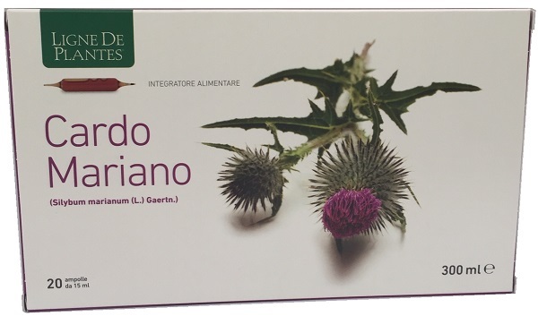CARDO MARIANO 20AB 15ML