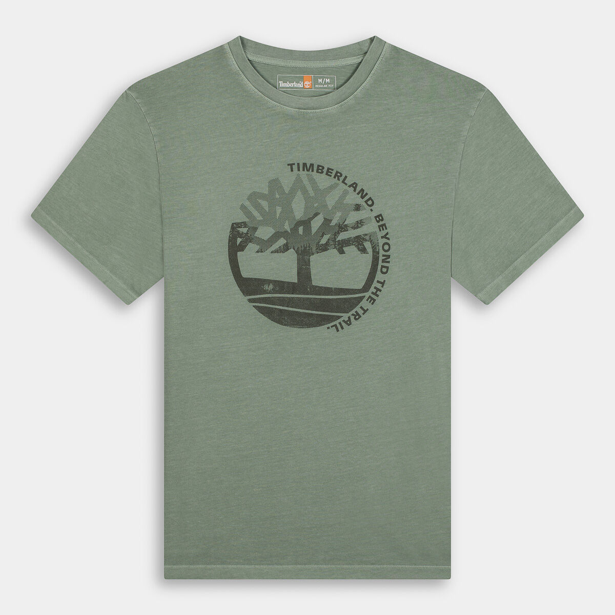 T-shirt Timberland da Uomo, verde
