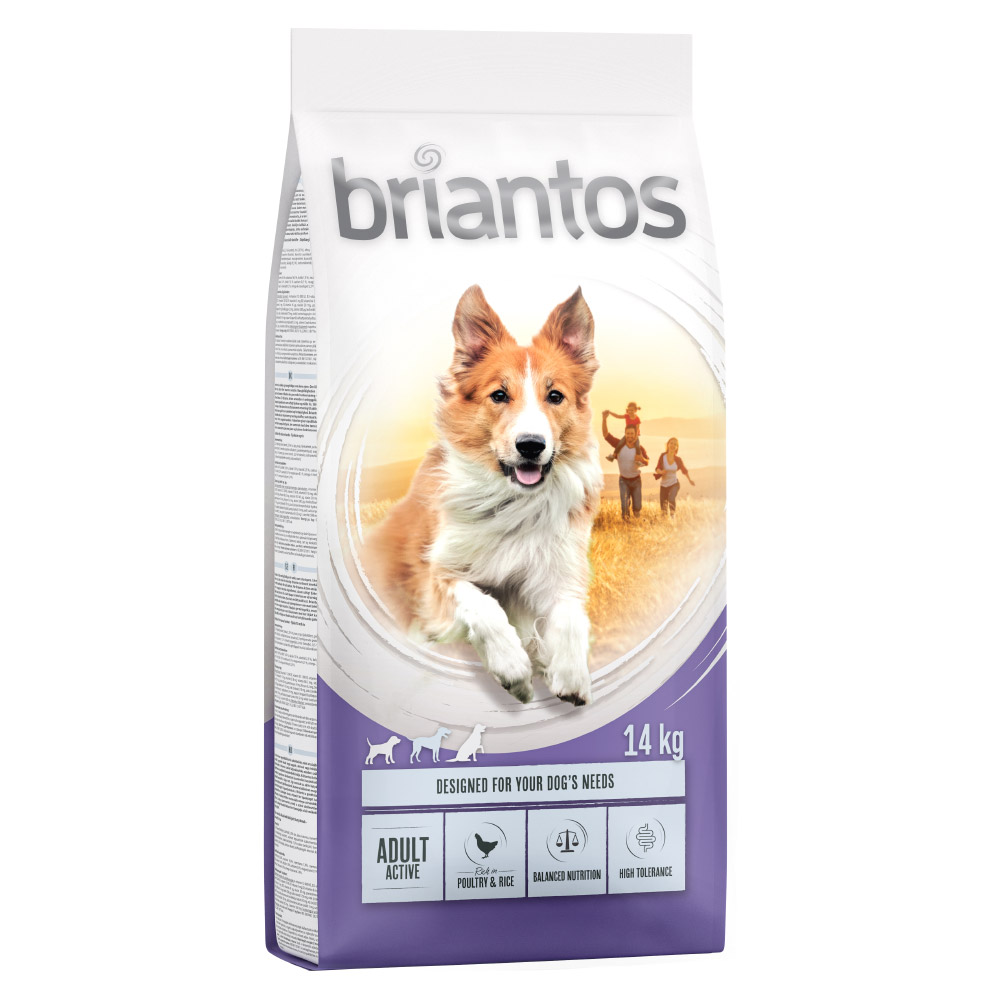 Prezzo speciale! 12/14 kg Briantos Crocchette per cani - Active 14 kg