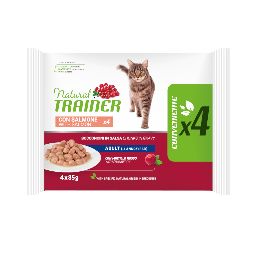 Prezzo speciale! 4 x 85 g Natural Trainer Adult Alimento umido per gatti - con Salmone