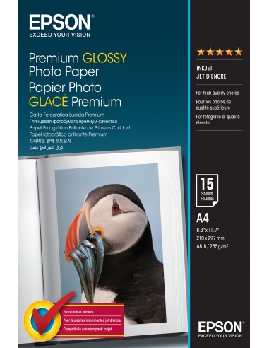 Epson Carta Fotografica A4 15 Fogli - C13S042155