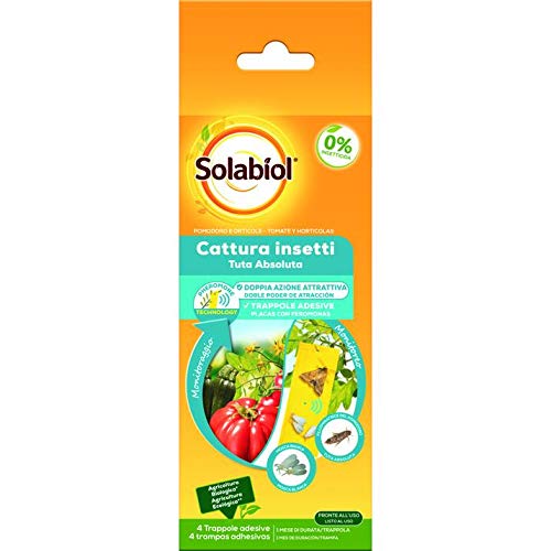Solabiol Piatti Con Feromoni Anti Tuta