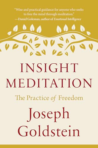 Insight Meditation: The Practice Of Freedom (Shambhala Classics) (English Edition)