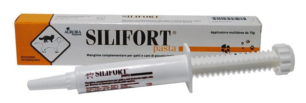 Benu Farma Silifort Pasta Siringa 15 g