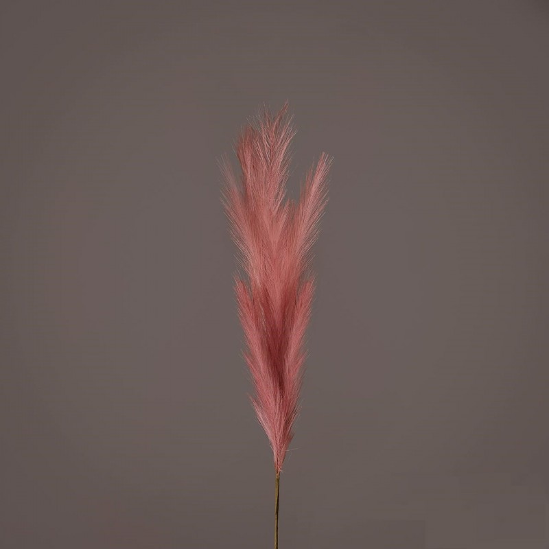 Enzo De Gasperi Pampa Ramo H100 (q) Ant.pink