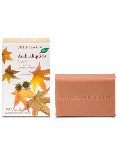 AMBRALIQUIDA SAPONE 100G L'ERBOLARIO