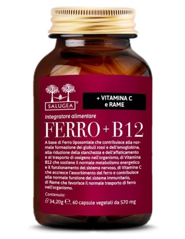 FERRO+B12 SALUGEA 60CPS
