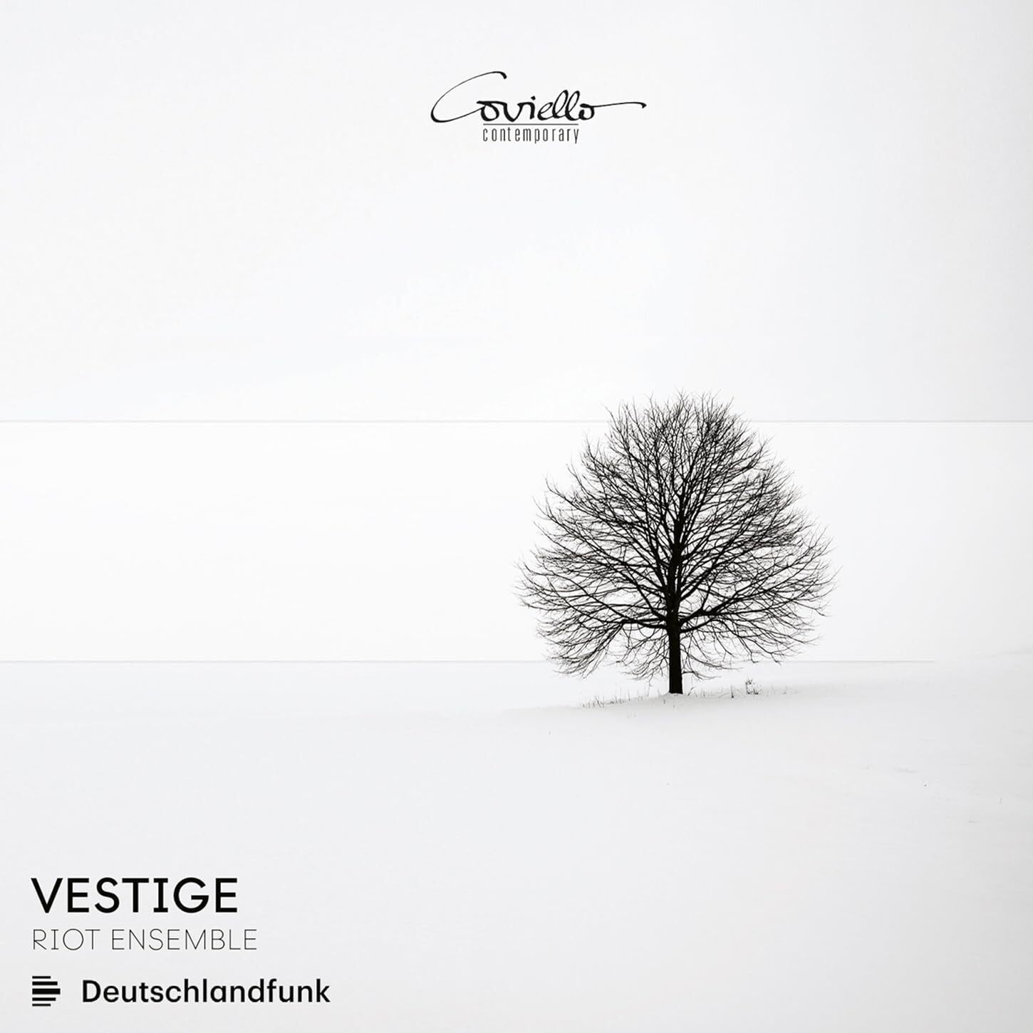 Riot Ensemble Riot Ensemble: Vestige (CD) Album