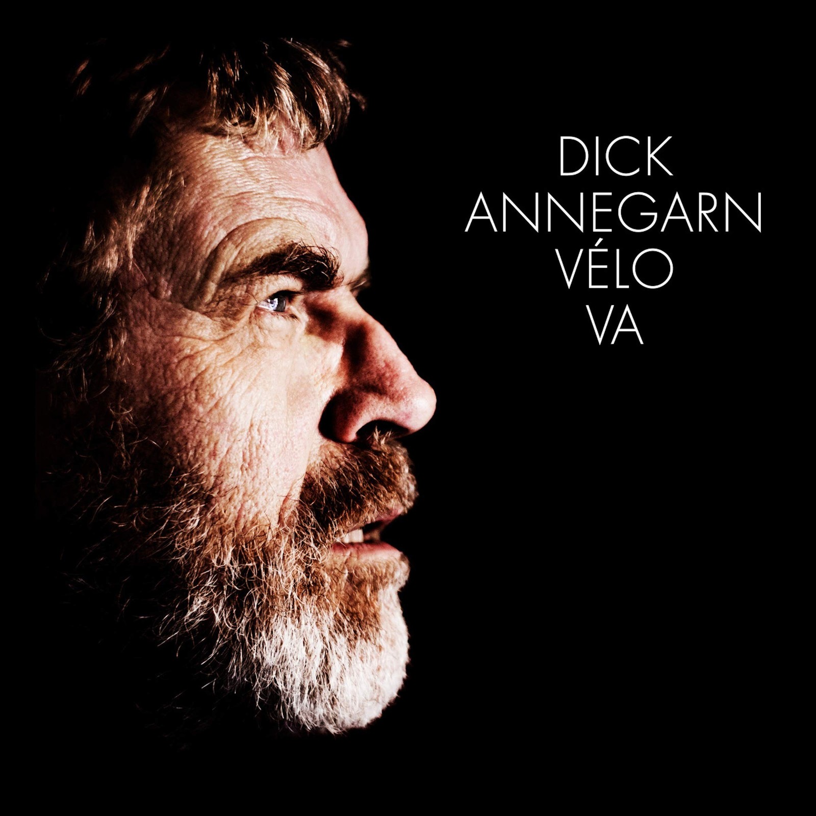 Dick Annegarn Vélo Va (CD)