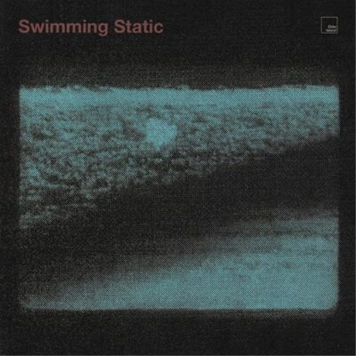 Elder Island Swimming Static (Vinyl LP) 12" Album