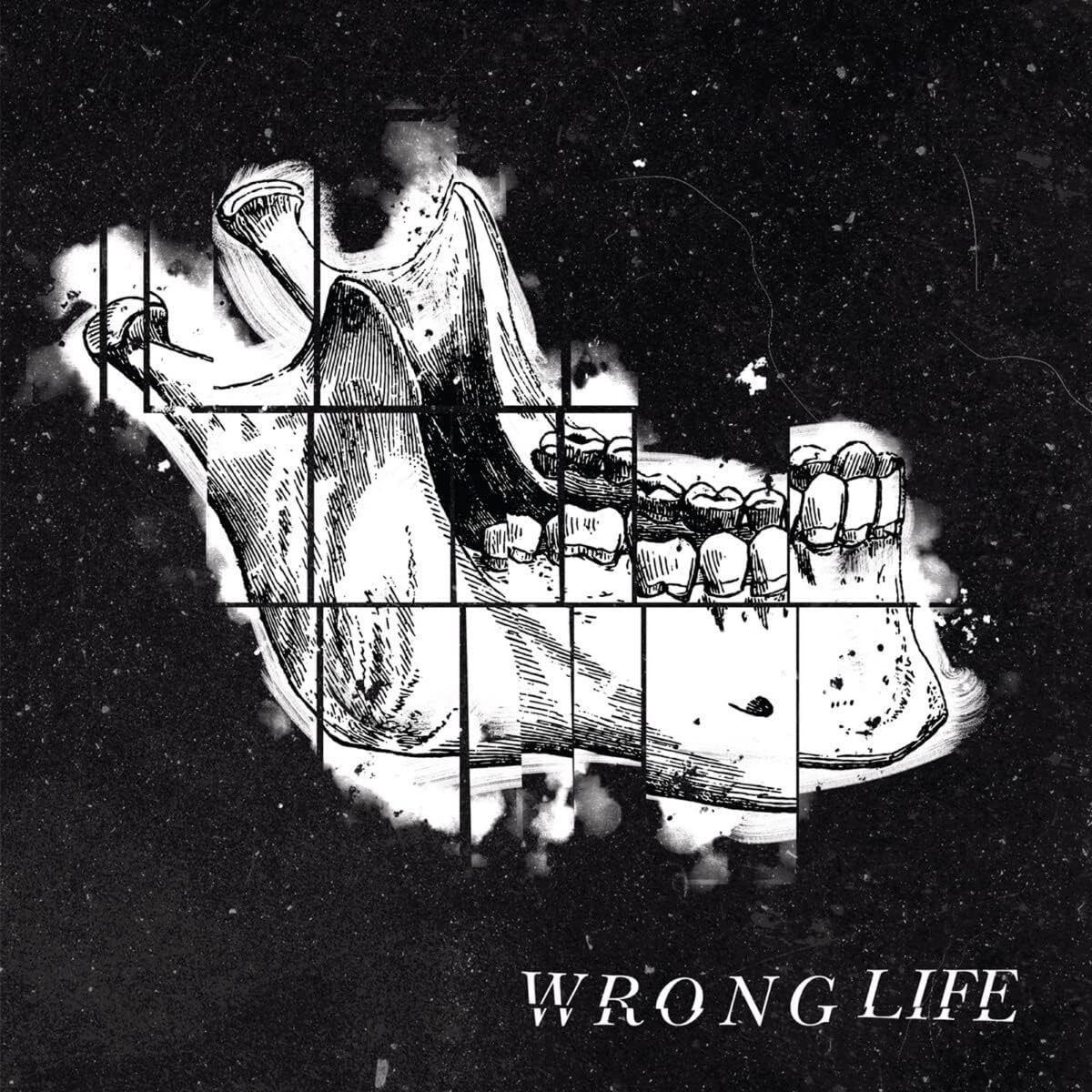 Wrong Life Wrong Life (Vinyl LP) 12" Album