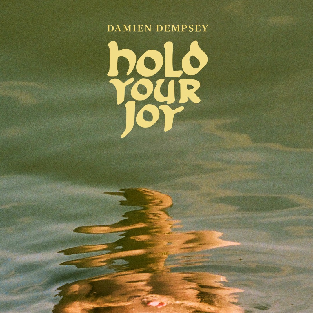 Damien Dempsey Hold Your Joy (CD) Album (Jewel Case)