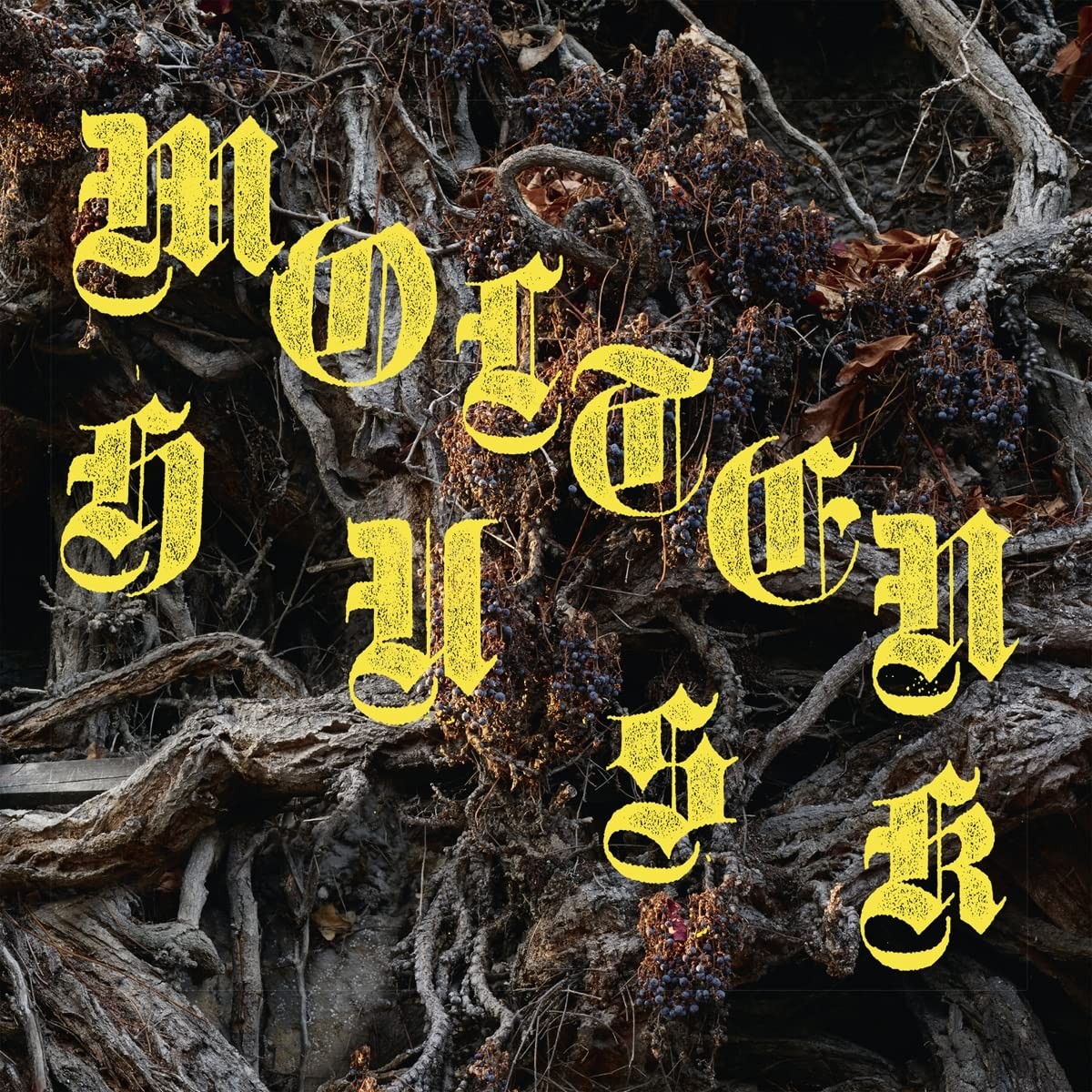 Abest Molten Husk (180gr.) (Vinyl LP)