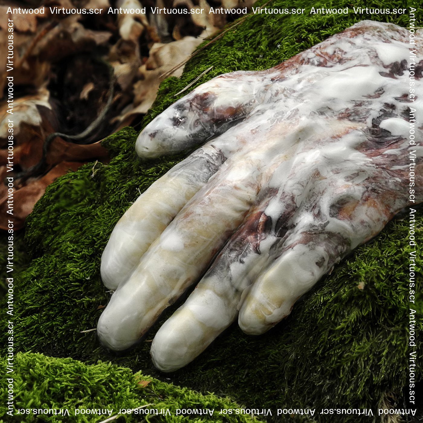 Antwood Virtuous.scr (CD) Album