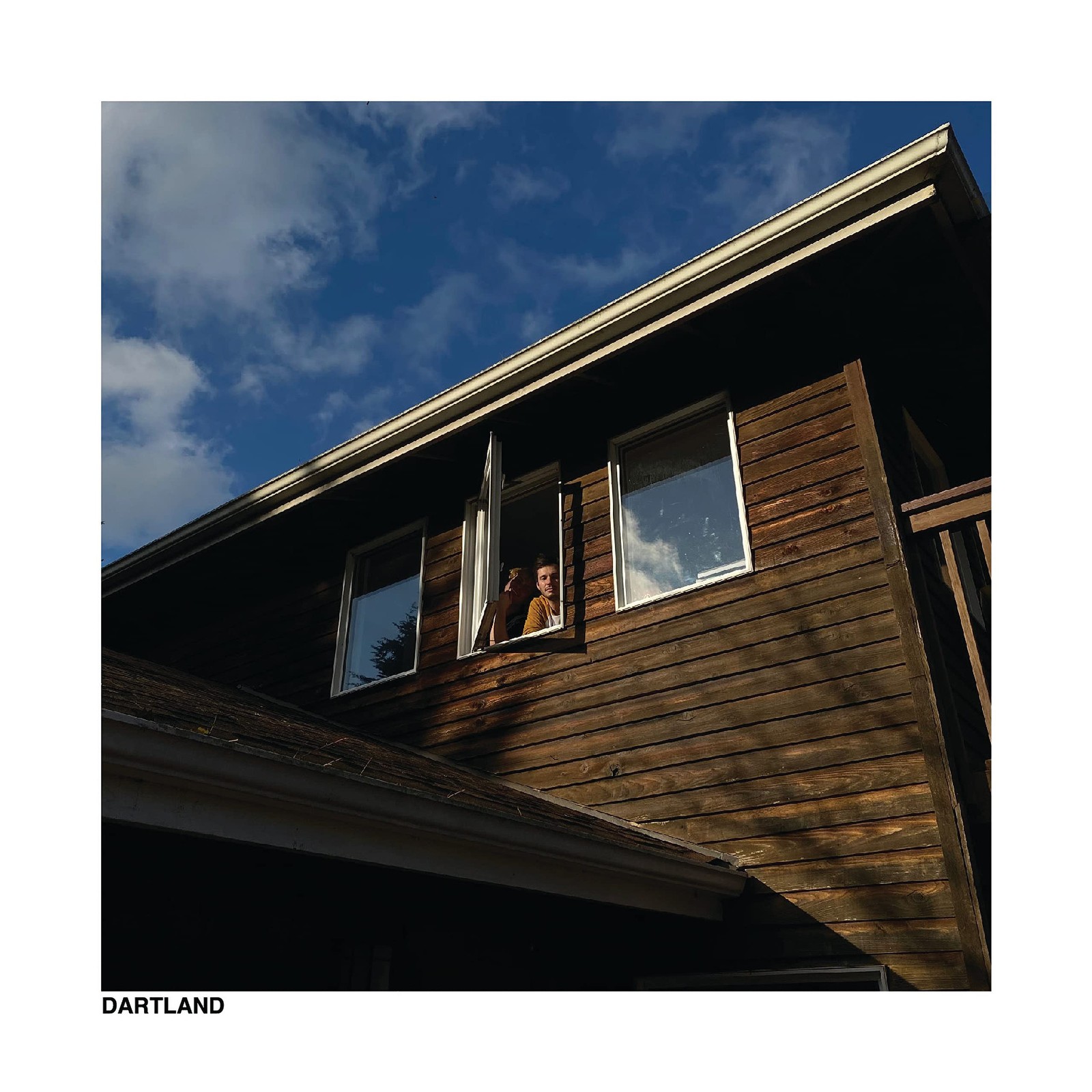 Worst Party Ever Dartland (Vinyl LP)