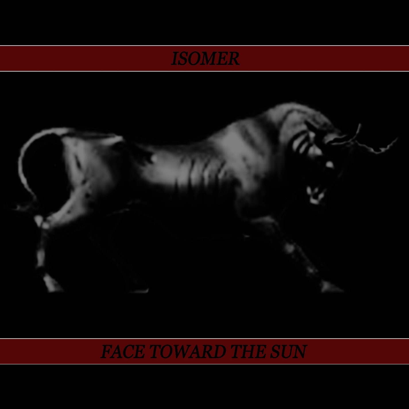 Isomer Face Toward the Sun (CD)
