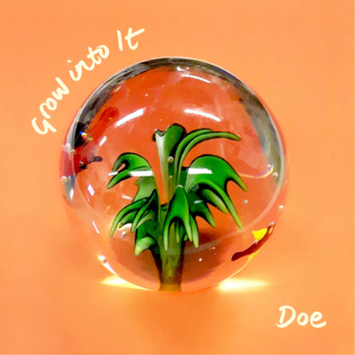 Doe Grow Into It (CD) Album