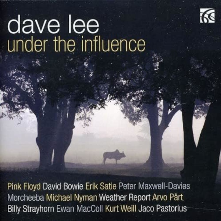 Dave Lee Dave Lee: Under the Influence (CD) Album