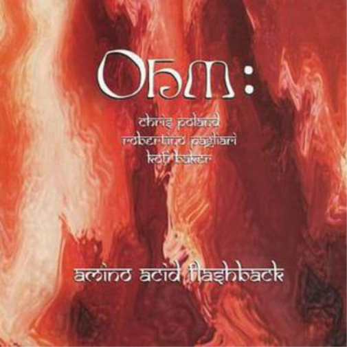 Ohm Amino Acid Flashback (CD) Album