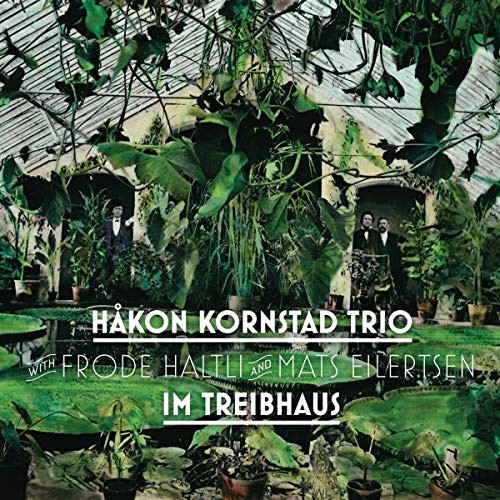 Im Treibhaus (Vinyl) [VINYL] by Håkon Kornstad [VINYL]