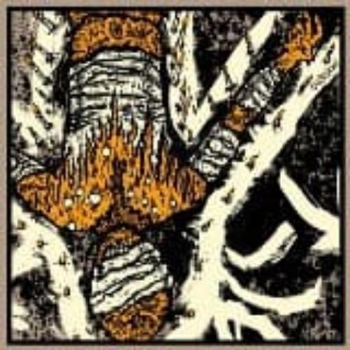 Meditative Sect Laceration Points (Vinyl LP)