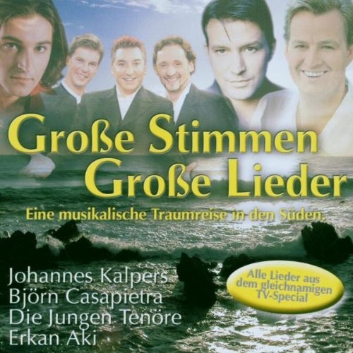 Various Grosse Stimmen-Grosse Lieder (CD)