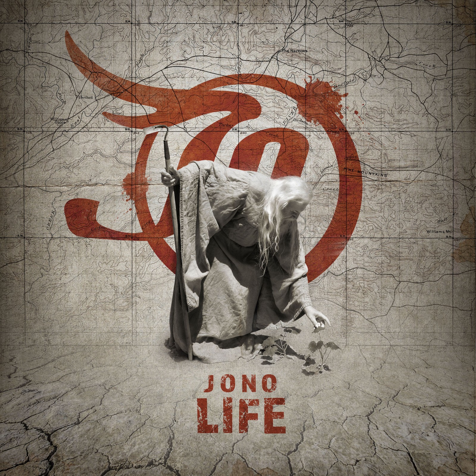 JoNo Life (Vinyl LP) 12" Album