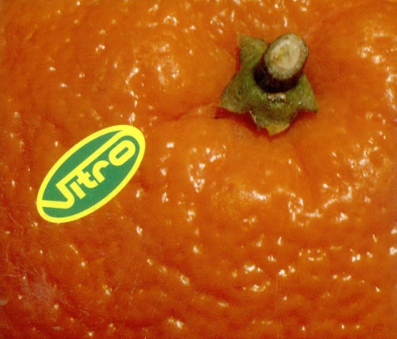 Vitro Orange (CD)