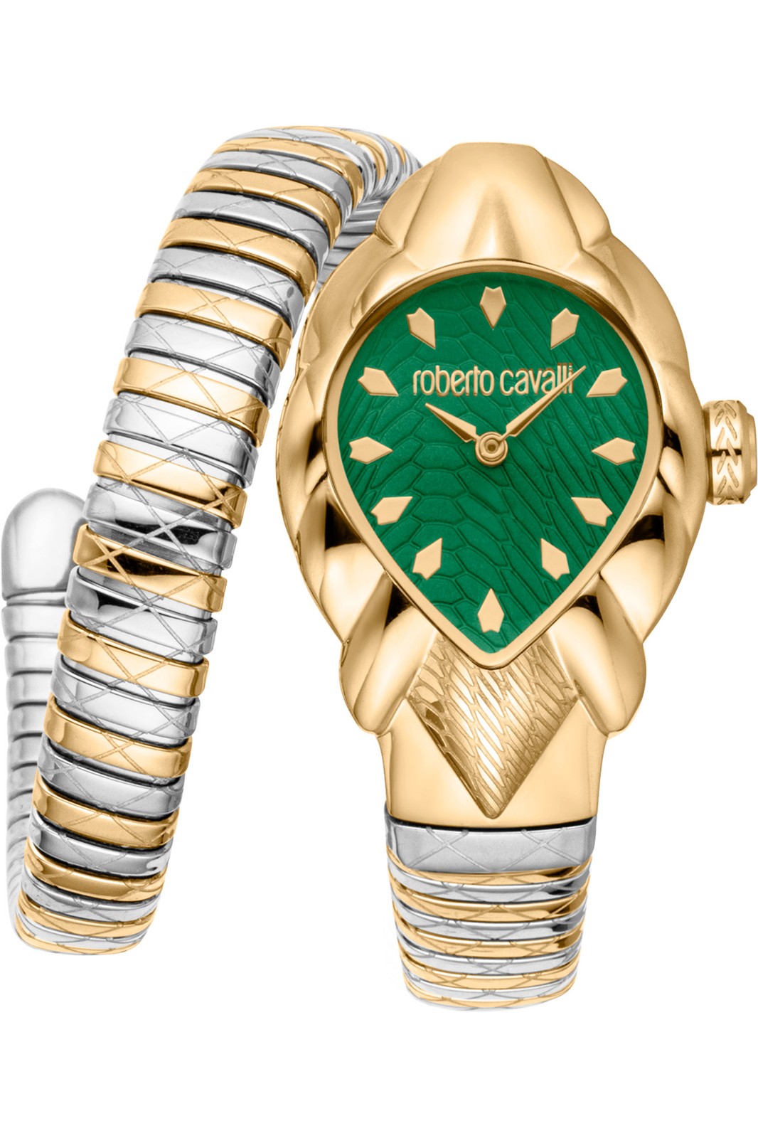 Orologio Roberto Cavalli RC5L110M0075 da Donna Verde bottiglia in Acciaio