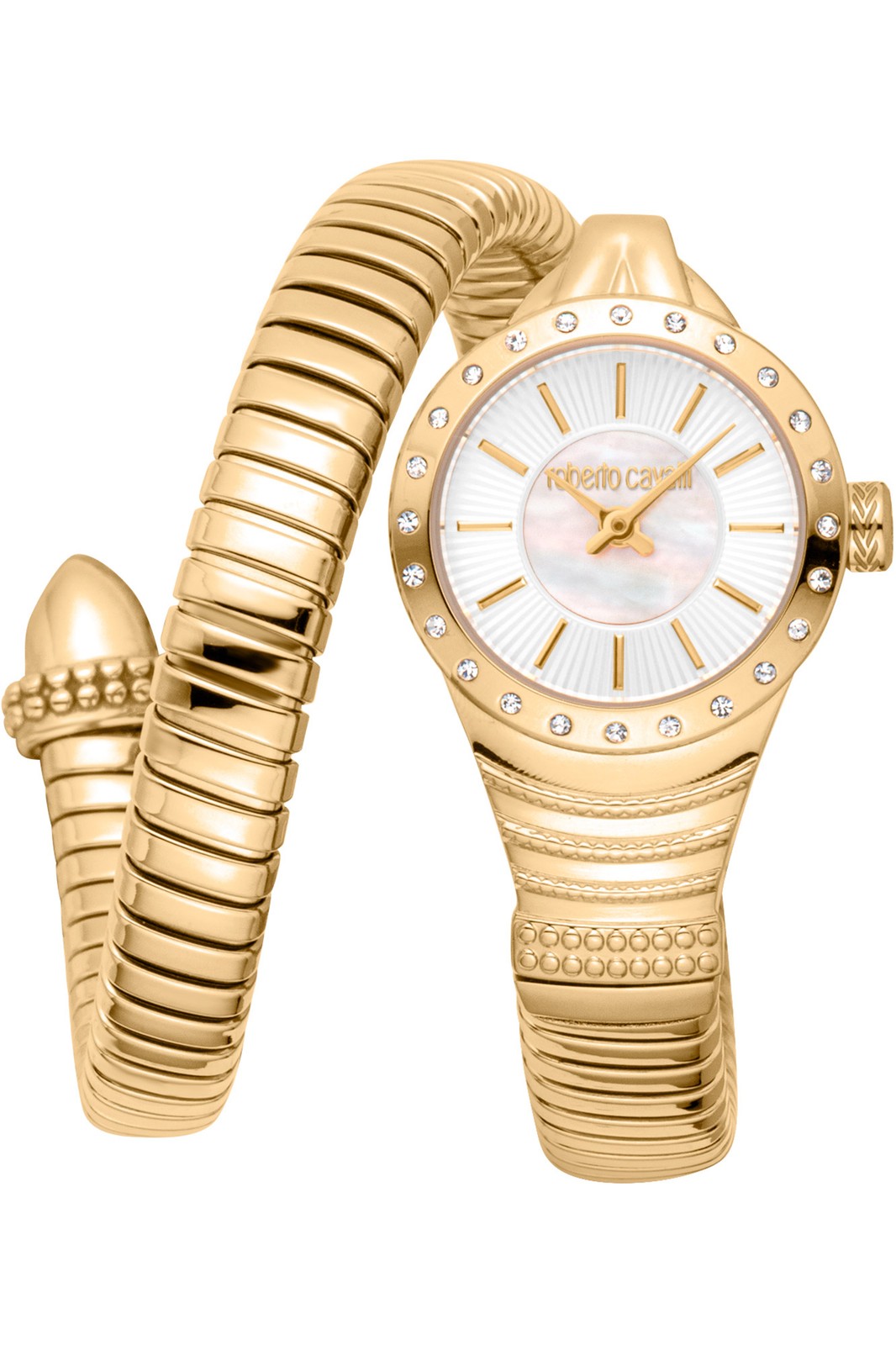 Orologio Roberto Cavalli RC5L114M0025 da Donna Grigio argento in Acciaio