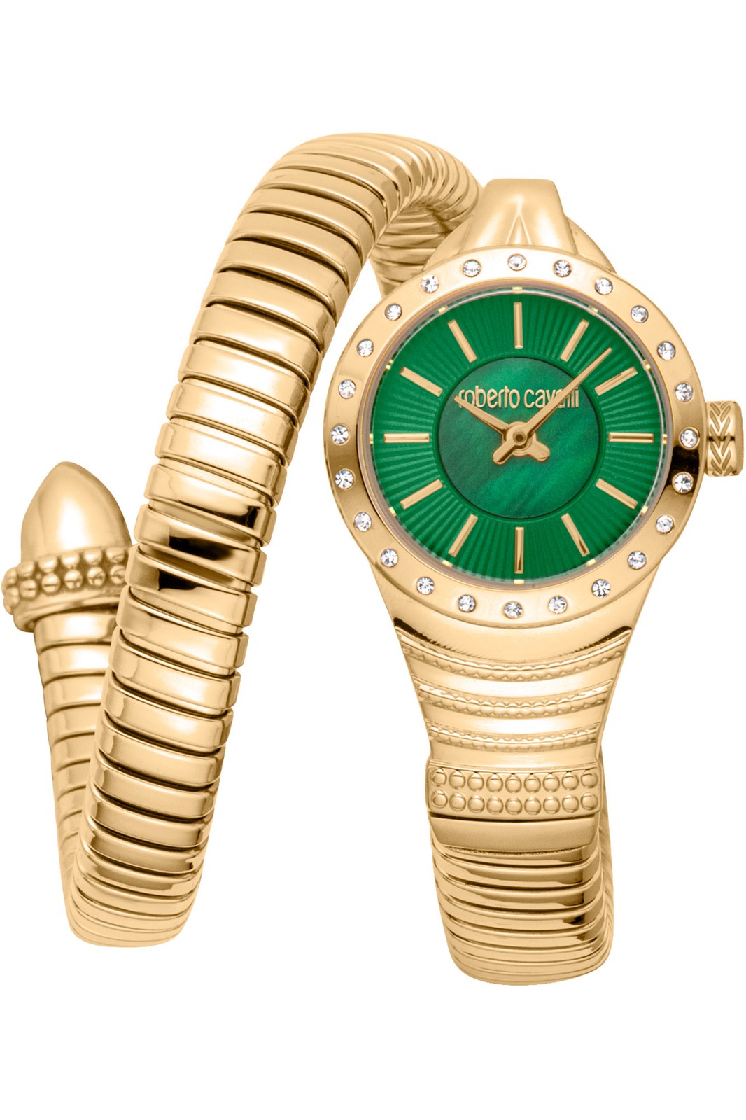 Orologio Roberto Cavalli RC5L114M0035 da Donna Verde bottiglia in Acciaio