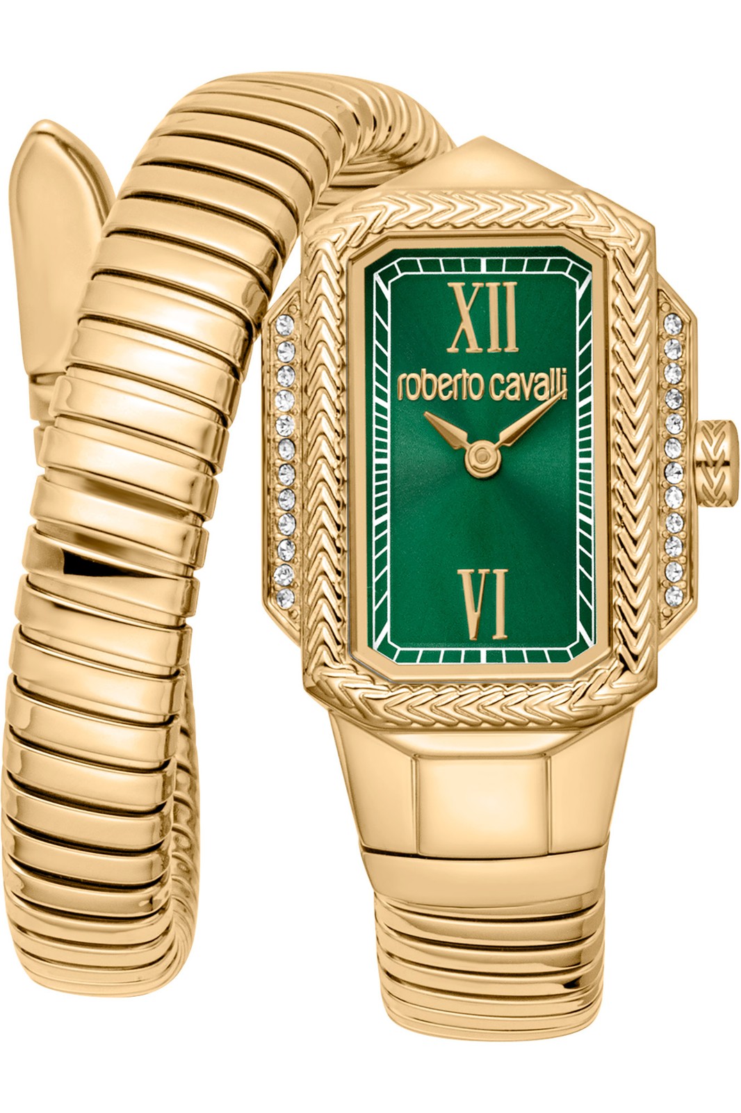 Orologio Roberto Cavalli RC5L115M0045 da Donna Verde bottiglia in Acciaio