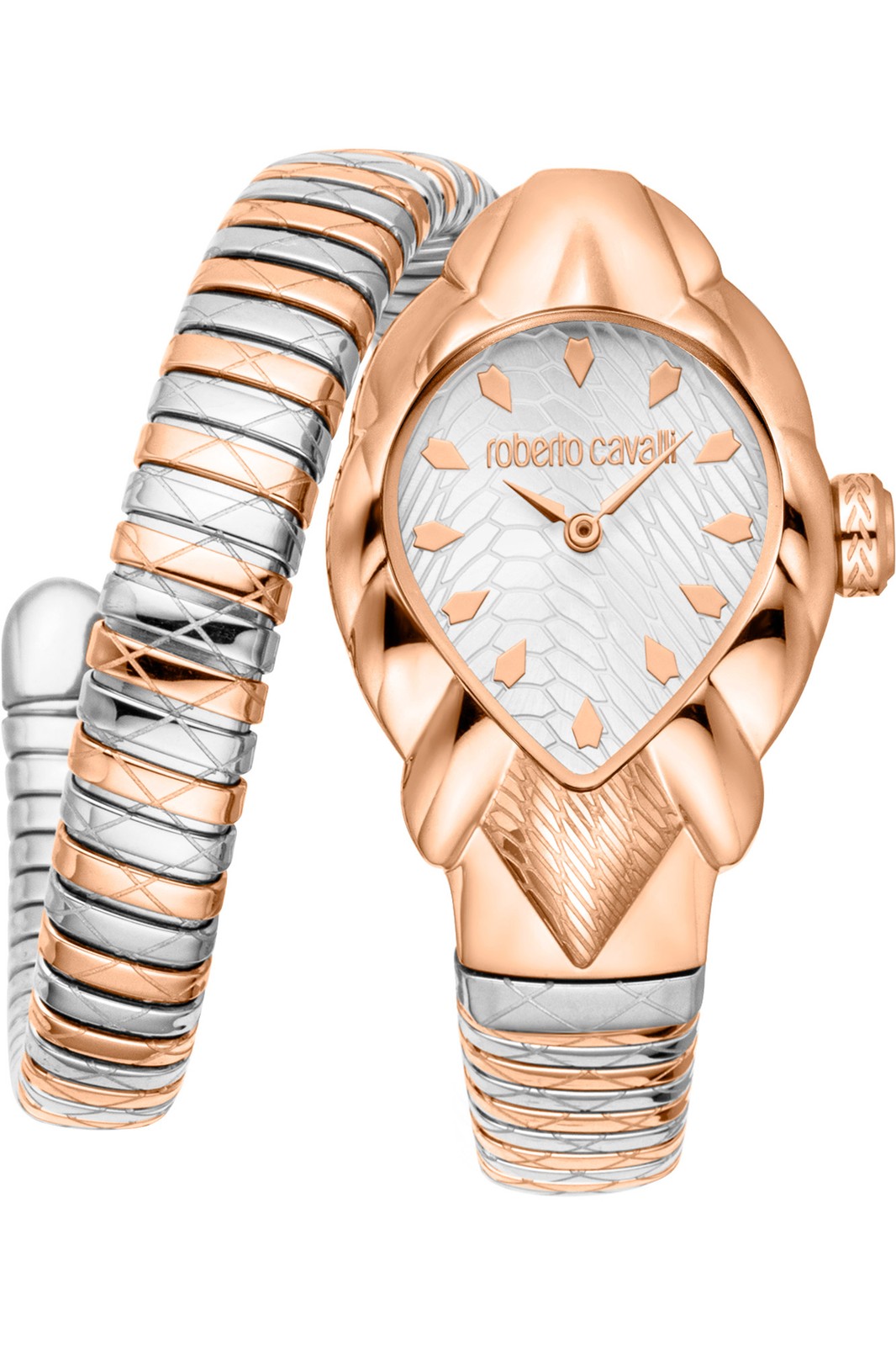 Orologio Roberto Cavalli RC5L110M0085 da Donna Grigio argento in Acciaio