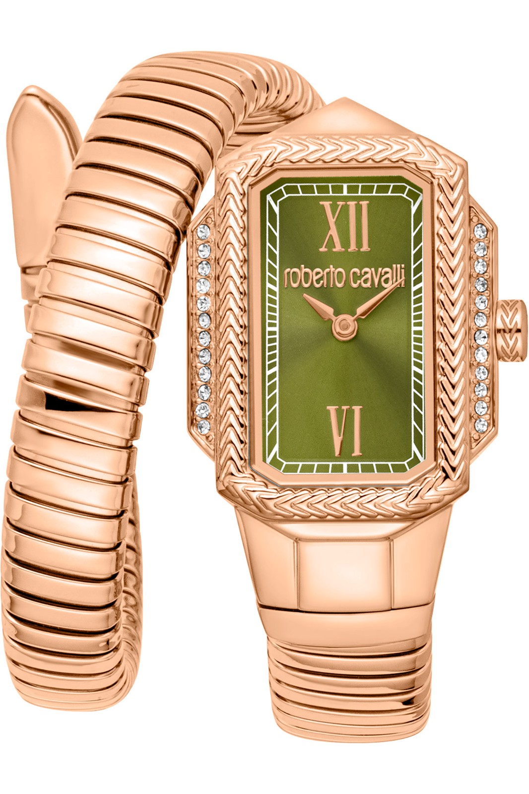 Orologio Roberto Cavalli RC5L115M0055 da Donna Verde oliva in Acciaio
