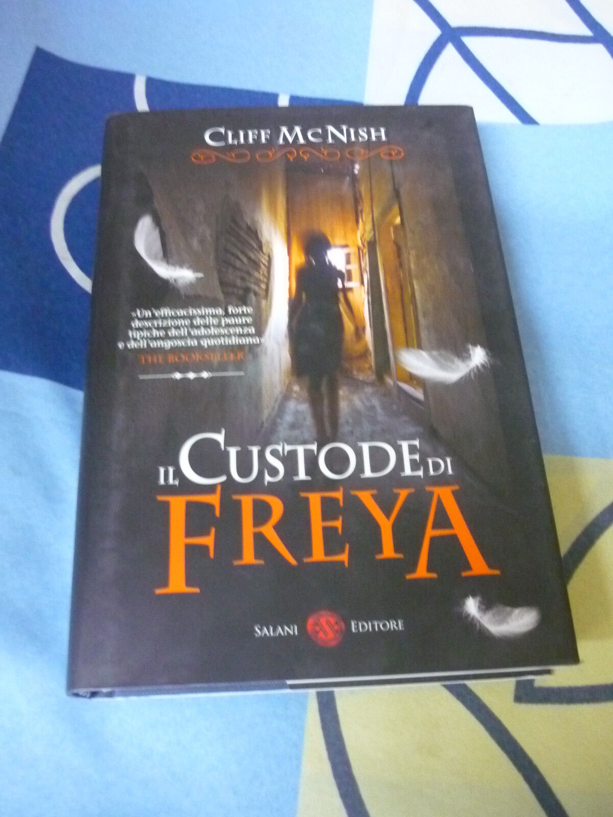IL CUSTODE DI FREYA CLIFF MC NISH
