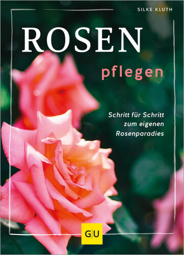 Rosen pflegen [German] by Kluth, Silke [Hardback]