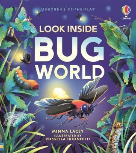 Minna Lacey Look Inside Bug World (Libro di cartone) Look Inside