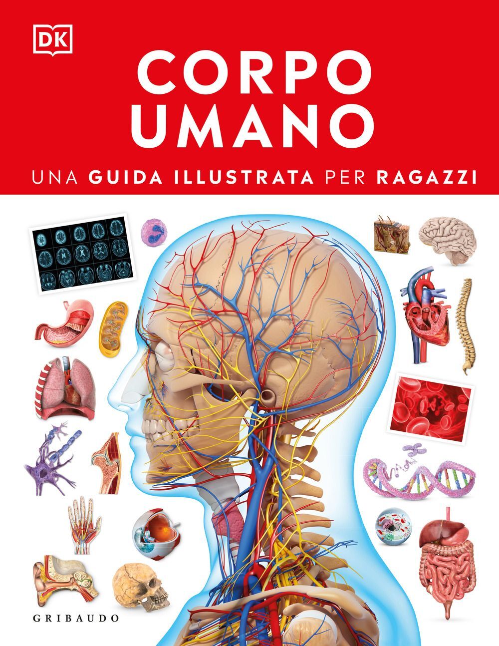Libri Corpo Umano. Una Guida Illustrata Per Ragazzi