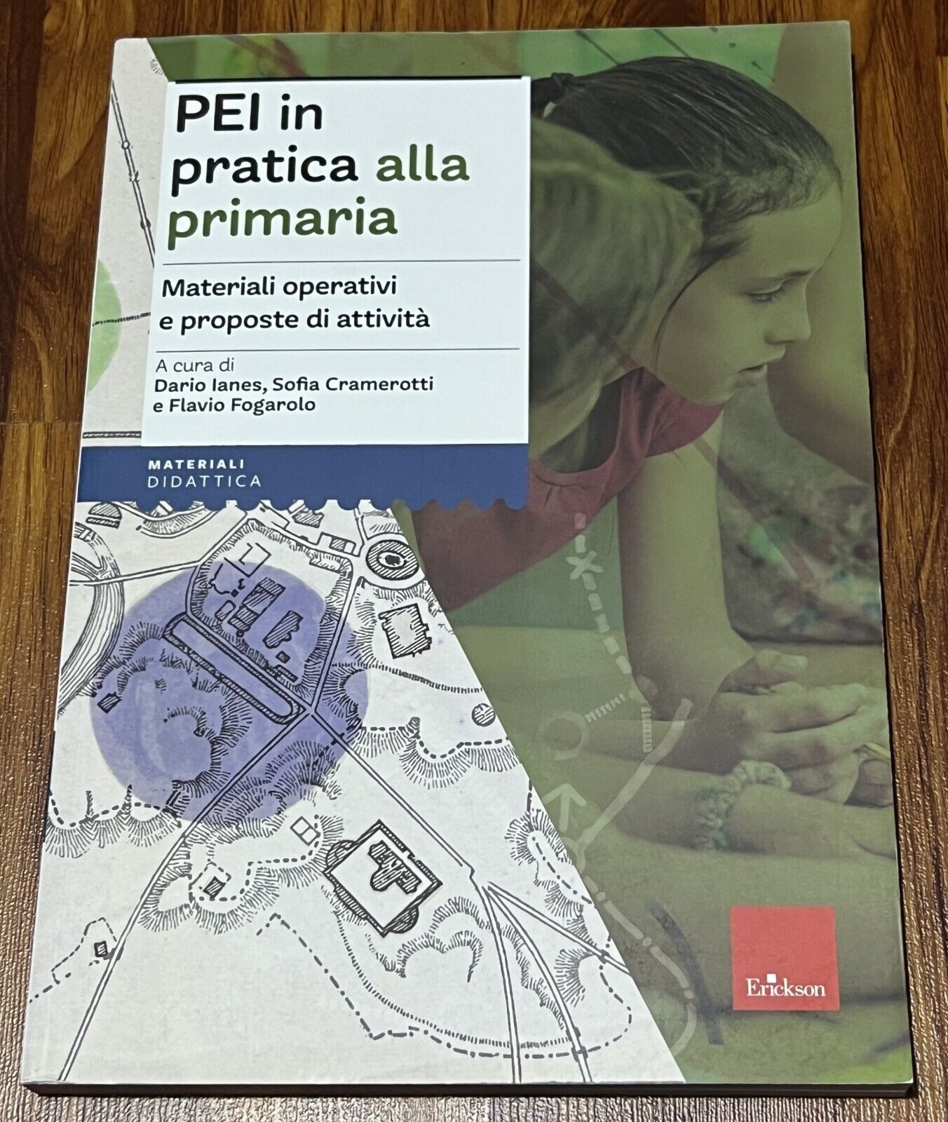 PEI IN PRATICA ALLA PRIMARIA. MATERIALI OPERATIVI E PROPOSTE DI ATTIVITÀ NUOVO