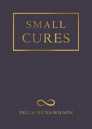 Della Hicks-Wilson Small Cures (Tascabile)