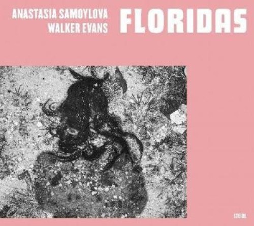 Anastasia Samoylova & Walker Evans: Floridas by Anastasia Samoylova