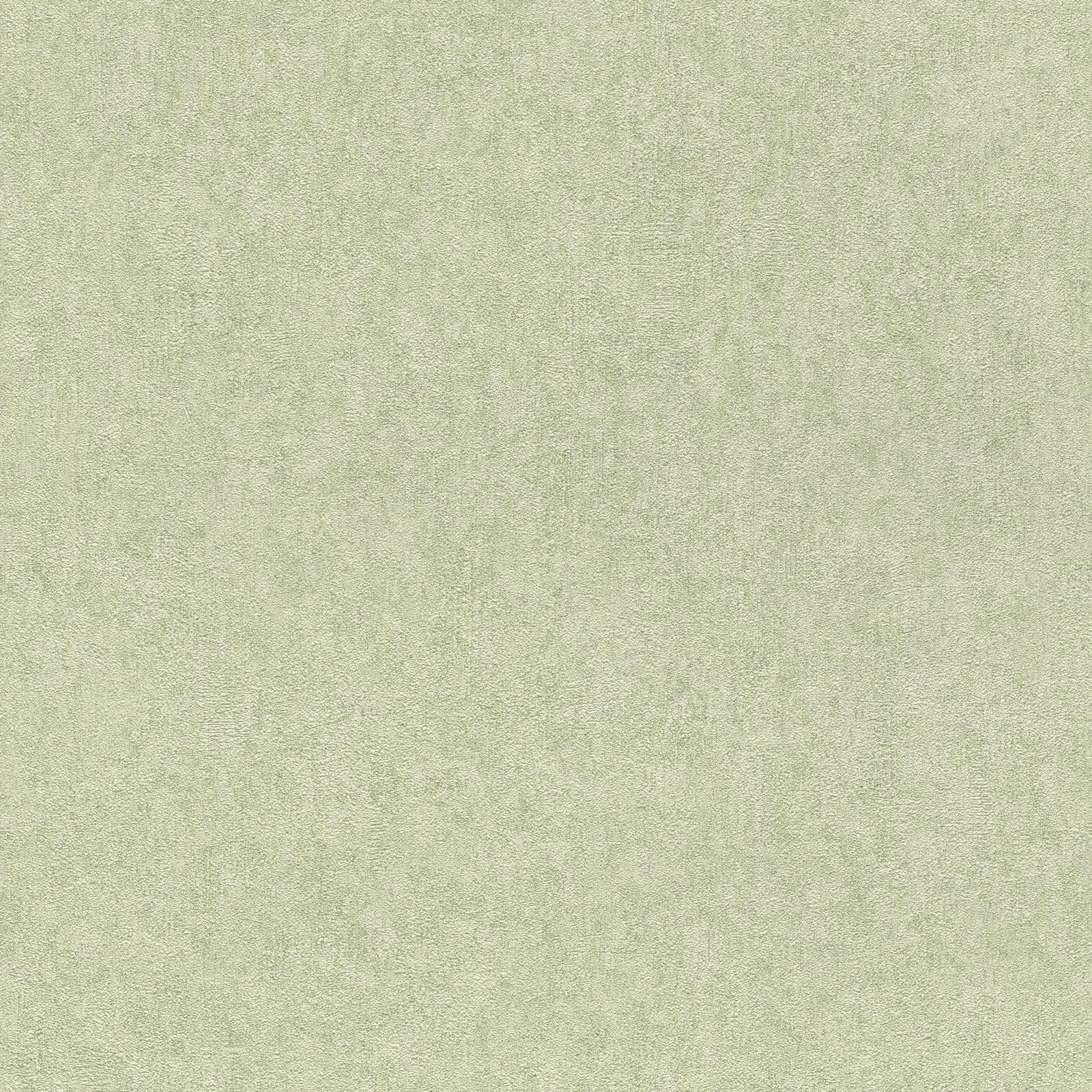 Linares Tinta Unita Trama Parati Verde Salvia RASCH 617368 10m Rotolo Elegante