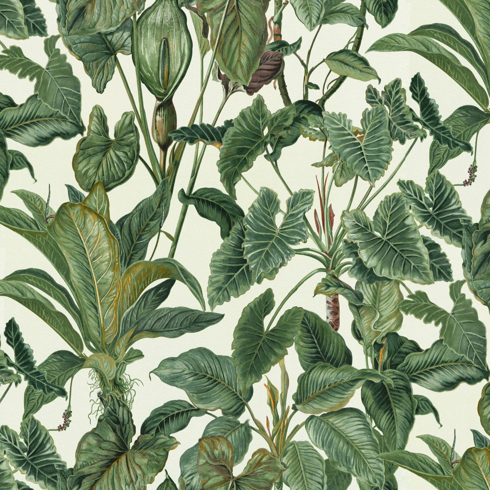 Paradisio Tropicale Giungla Piante Foglie Erismann Parati - Bianco 6303-07