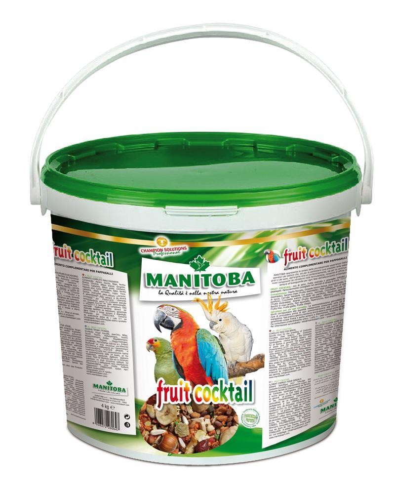 Fruit Cocktail 4 kg