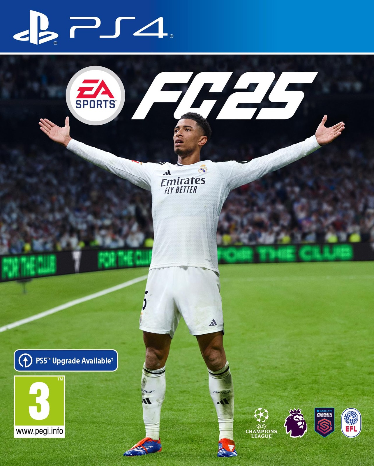 EA SPORTS FC 25 Standard Edition PS4   VideoGame   English  (Sony Playstation 4)