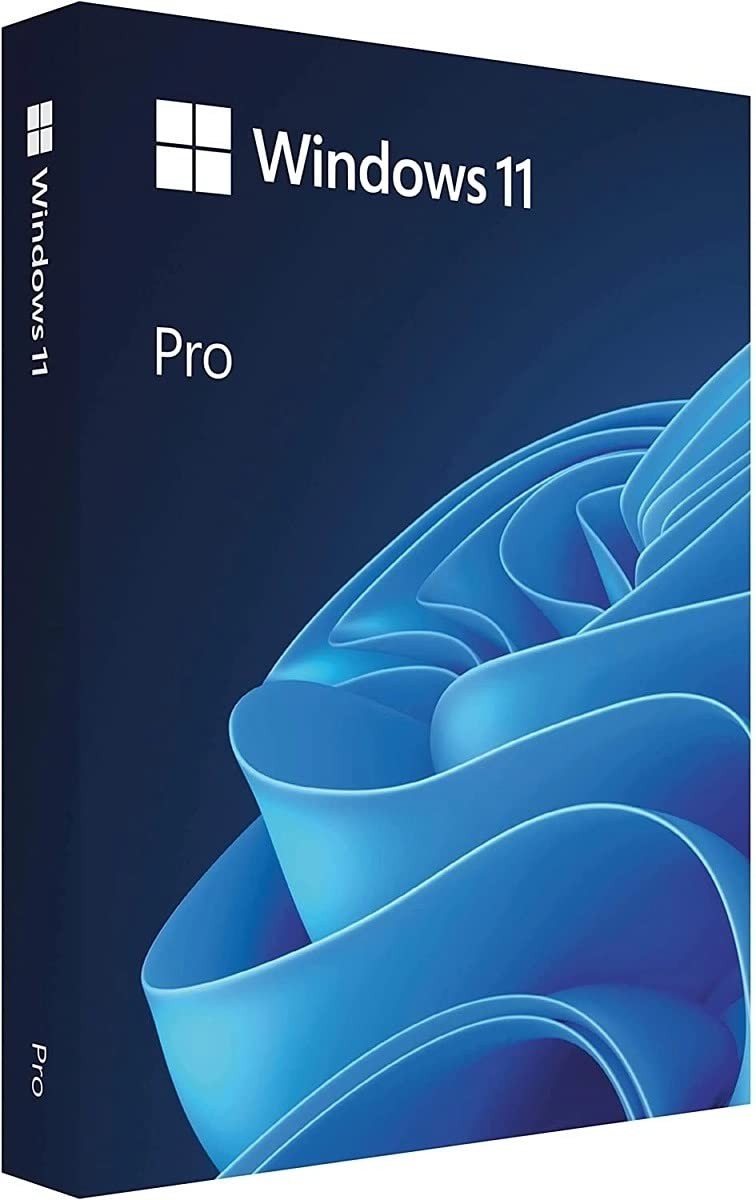 Microsoft Windows 11 Pro (PC)