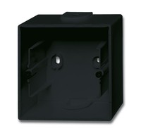 BUSCH JAEGER 2CKA001799A0895  1701-81 - Black - Busch-Jaeger - 1 pc(s)