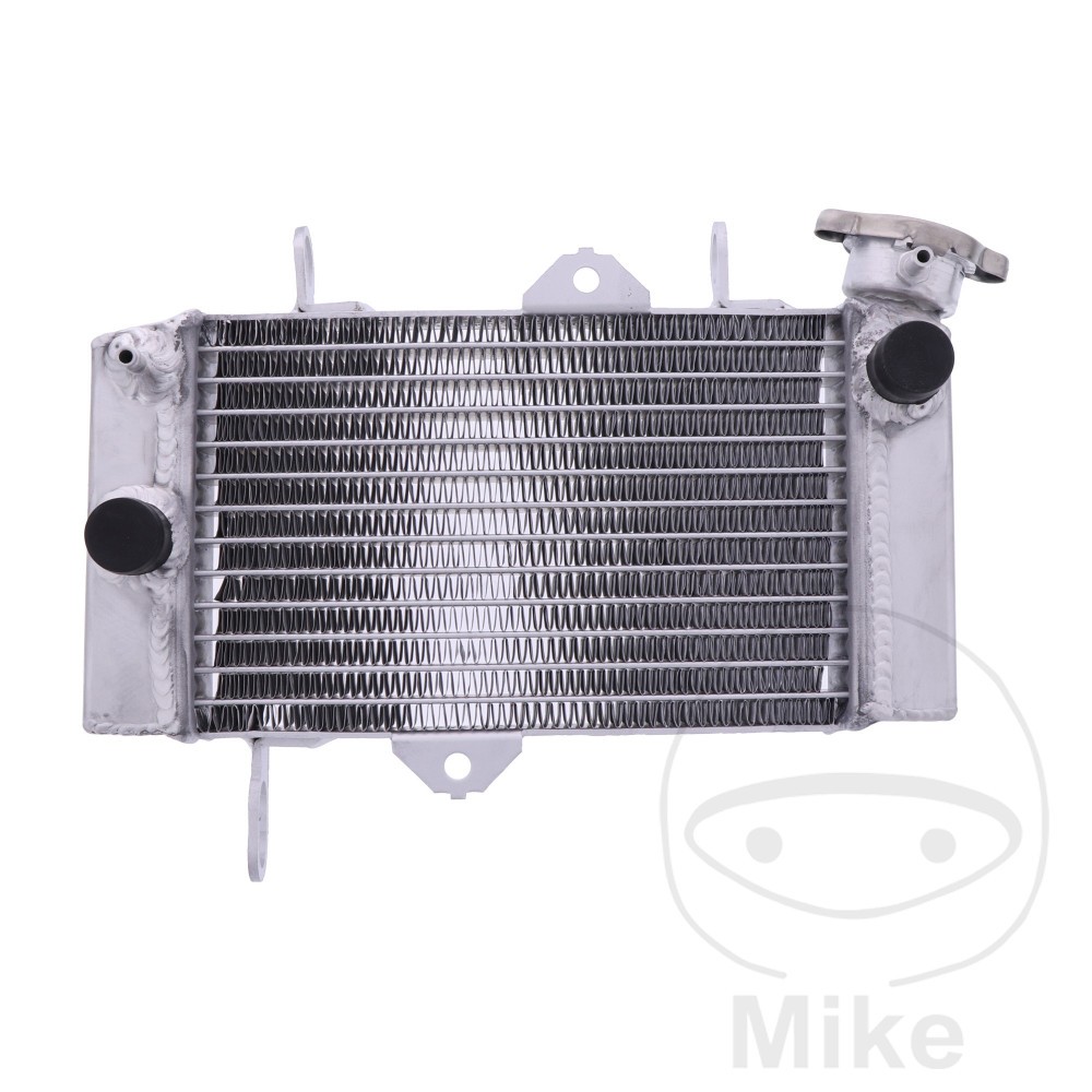 38180-compatibile con YAMAHA MT 125 A ABS 15 CV, 11 KW 1CIL. RE115 5D7D BASTIDOR